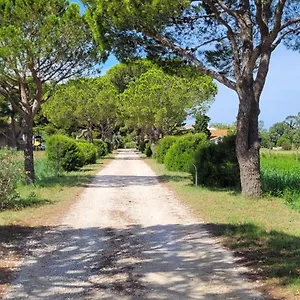 Affittacamere Mas Du Grand Peloux, Port-Saint-Louis-du-Rhône